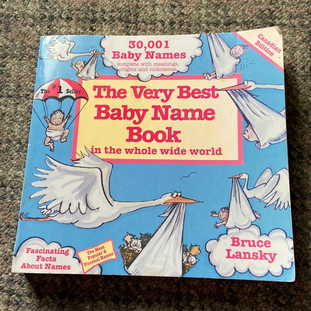 The Very Best Baby Name Book in the Whole World by Bruce Lansky (paperback)